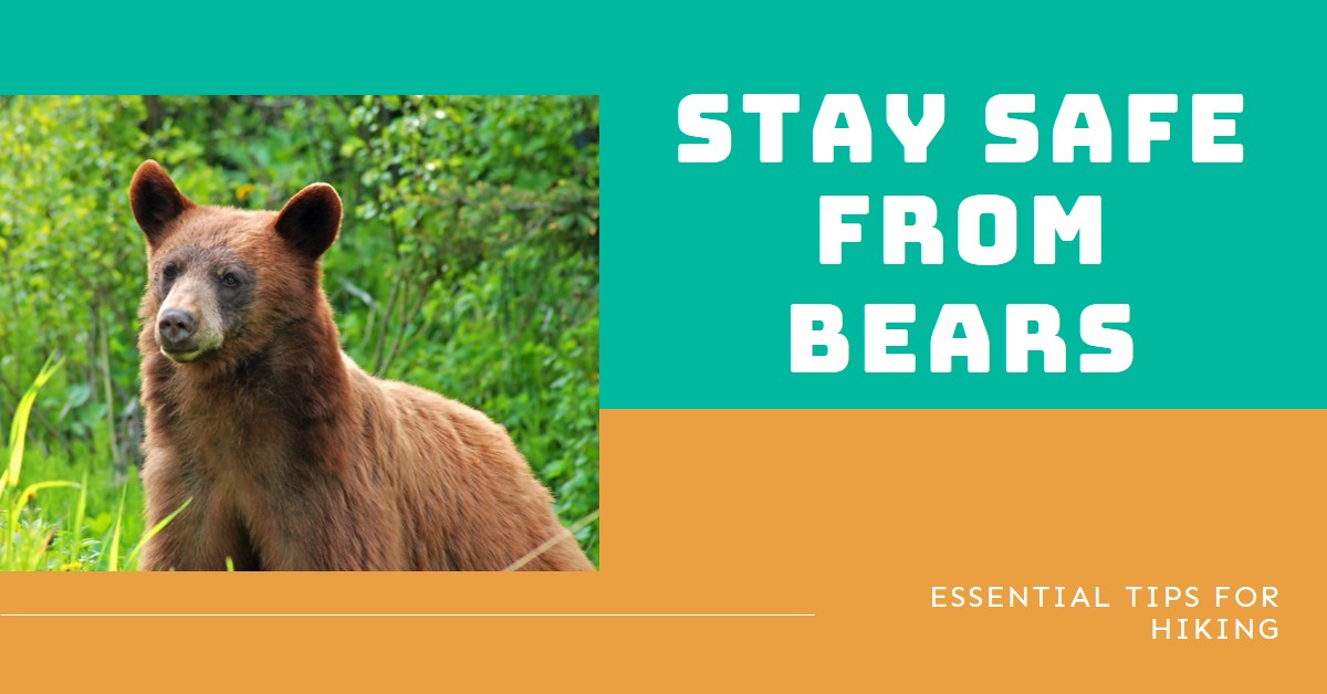 Bear safety hiking tips